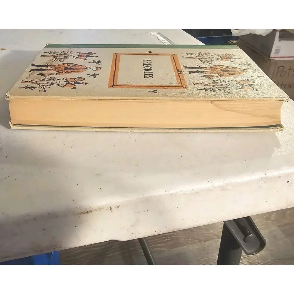 Freckles Gene Stratton-Porter 1904 Hardcover Grosset Dunlap Antique Book Fiction